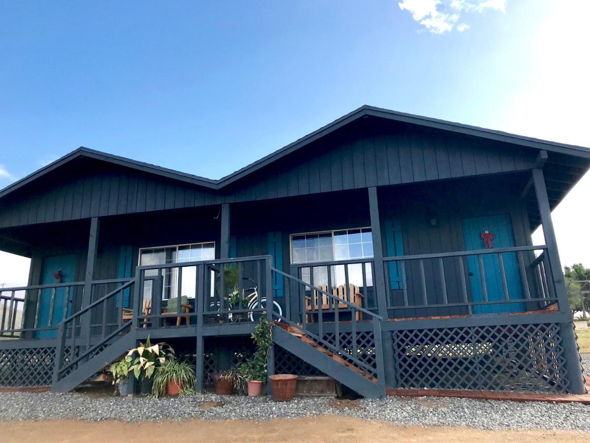 Bajo El Sol Del Valle Valle de Guadalupe Εξωτερικό φωτογραφία