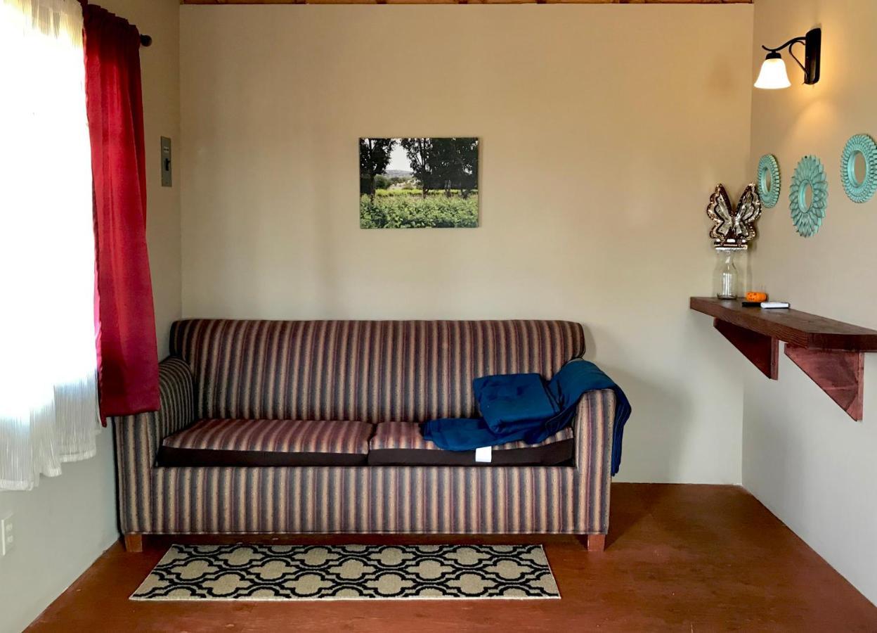 Bajo El Sol Del Valle Valle de Guadalupe Εξωτερικό φωτογραφία