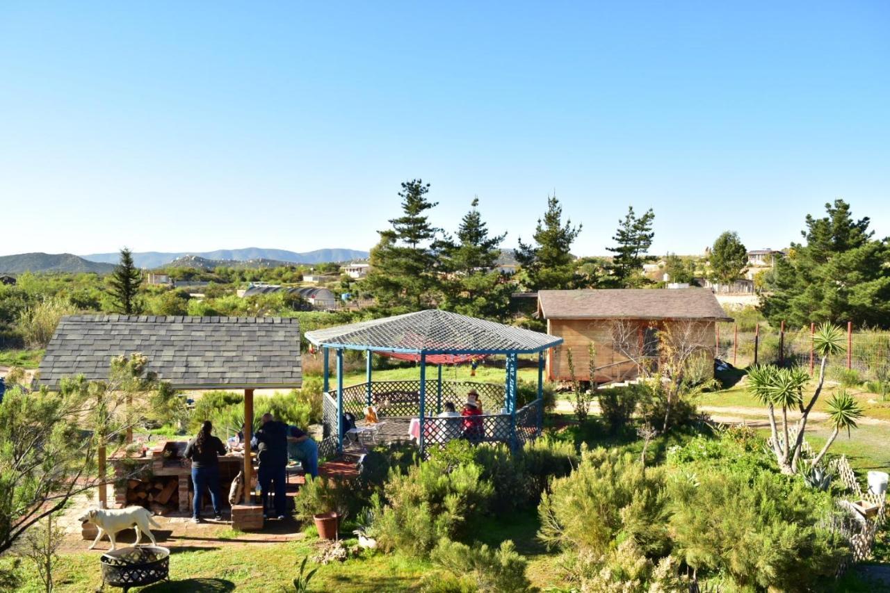 Bajo El Sol Del Valle Valle de Guadalupe Εξωτερικό φωτογραφία