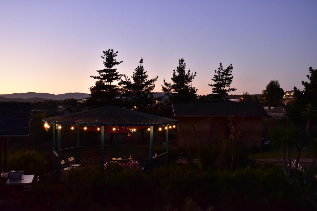 Bajo El Sol Del Valle Valle de Guadalupe Εξωτερικό φωτογραφία