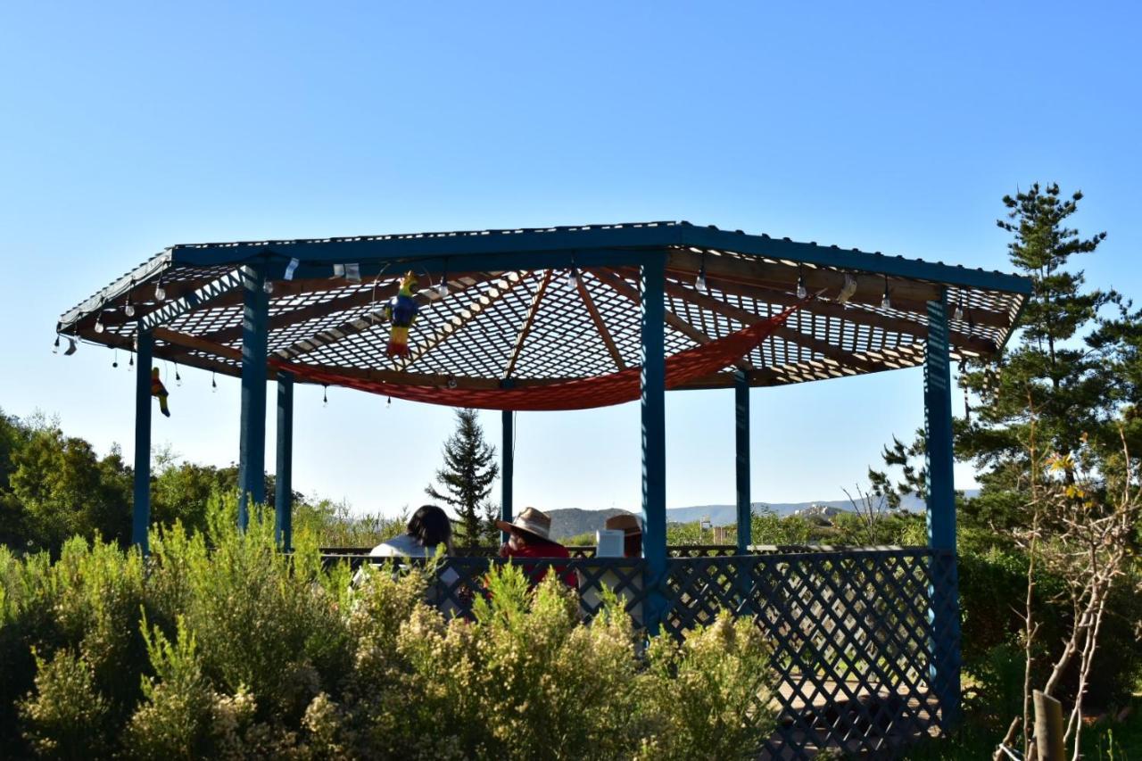 Bajo El Sol Del Valle Valle de Guadalupe Εξωτερικό φωτογραφία