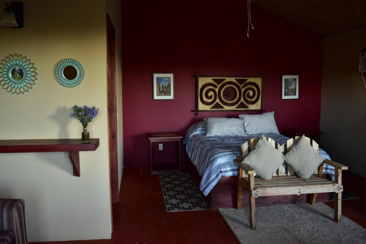 Bajo El Sol Del Valle Valle de Guadalupe Εξωτερικό φωτογραφία